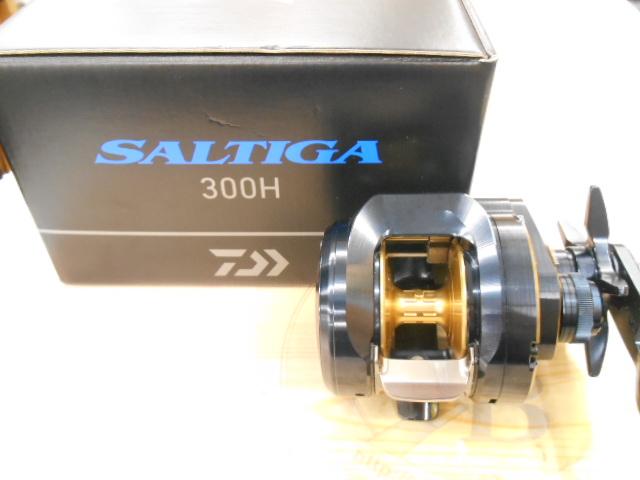 25ソルティガ 300H