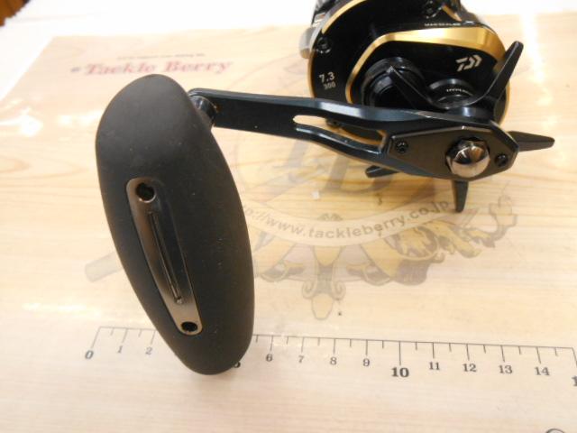 25ソルティガ 300H