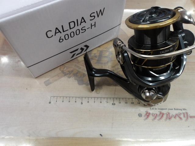 22カルディアSW 6000S-H