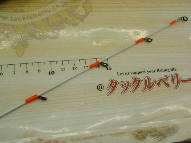 海人瀬戸内アコウ 210