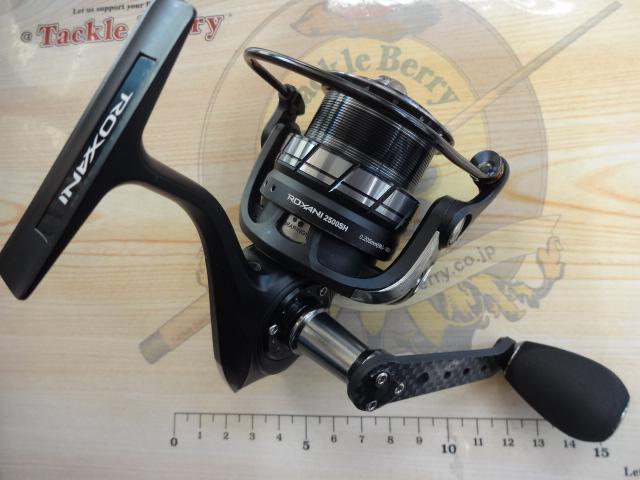 ロキサーニ 2500SH