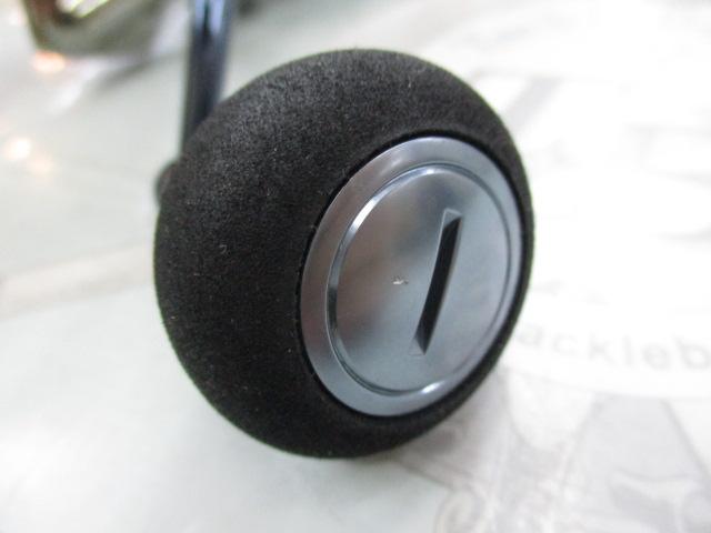 13バイオマスターSW 5000PG