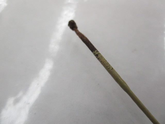 朱紋峰 ぬけさく 8