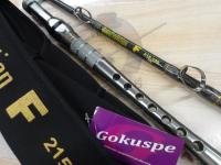 ゴクエボリューションF 215-100HB