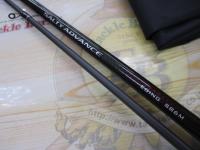 19ソルティーアドバンスエギング 86M