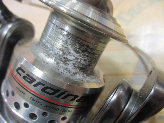 カーディナル301