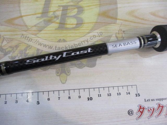 ソルティキャスト S900ML