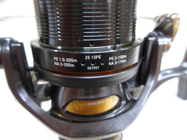 19キャスティズム 25 15PE