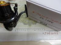 19キャスティズム 25 15PE