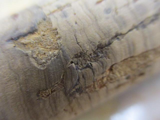 ブレイゾン C610MH