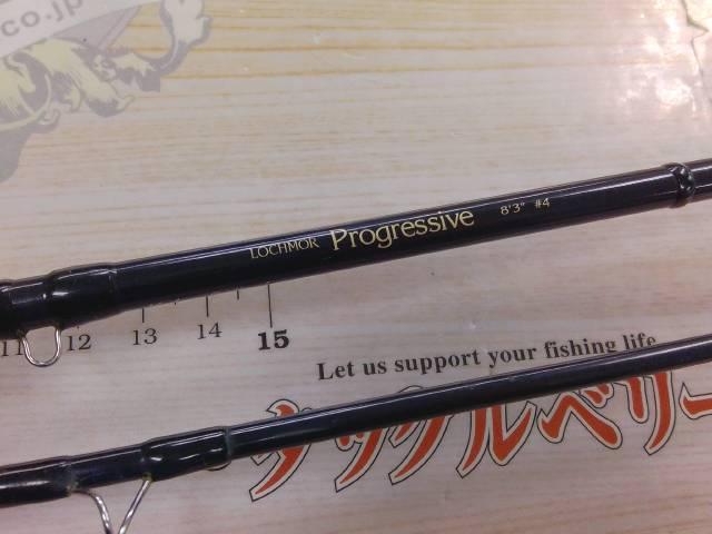 ロッホモアプログレッシブ F834