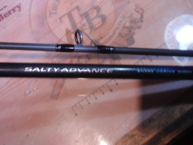 19ソルティーアドバンスショアジギング 100M