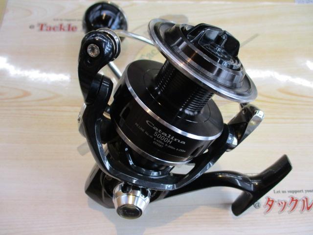16キャタリナ 5000H