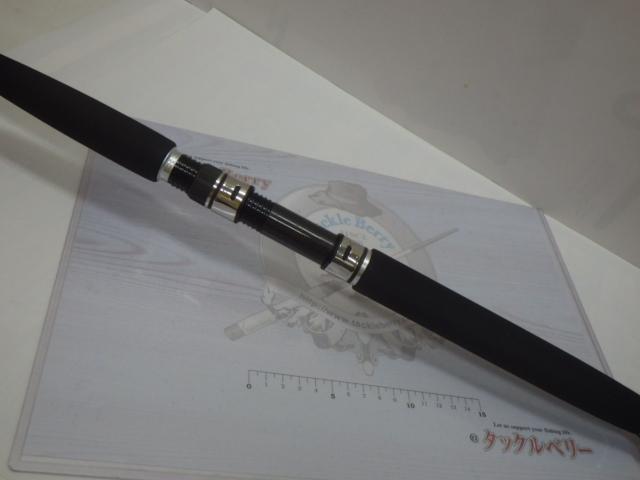 ソルティガコースタル SG ヒラマサ 54S