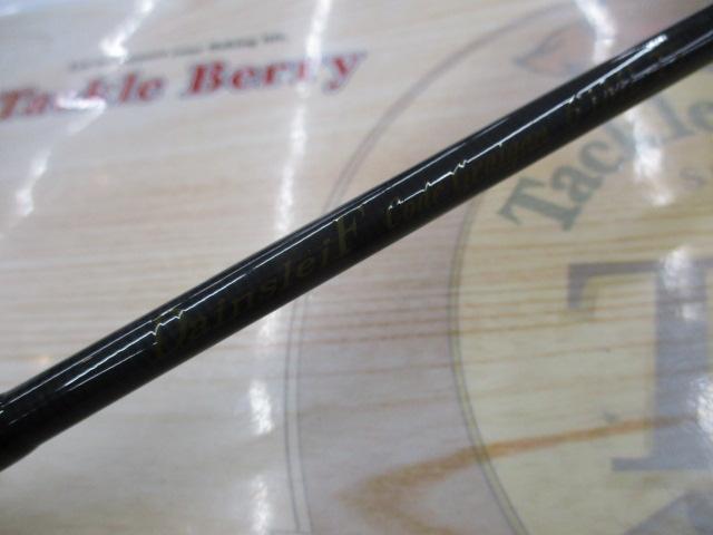 ダーインスレイヴコードグライガン6'1ML-TS