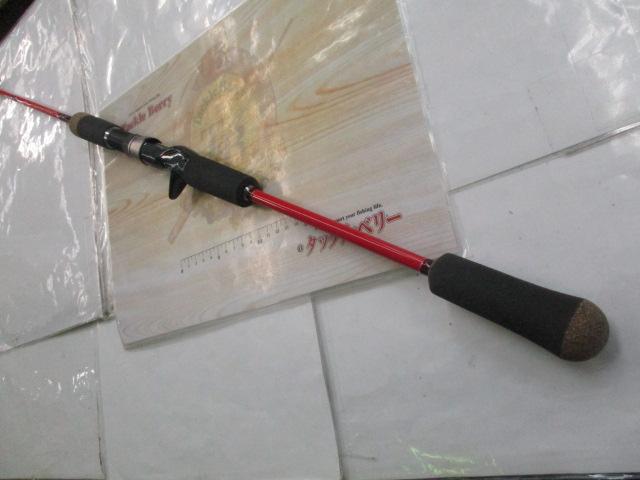 アクアプロジェクトタチウオ 65M