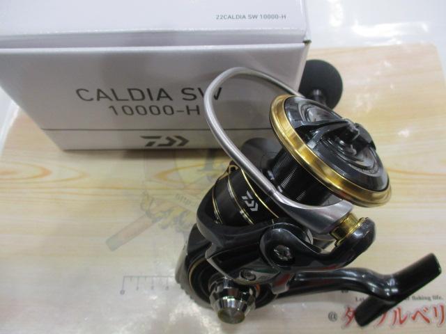 22カルディアSW 10000-H