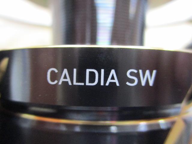 22カルディアSW 10000-H