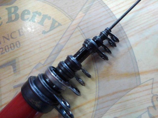 海上釣堀真鯛スペシャル 350