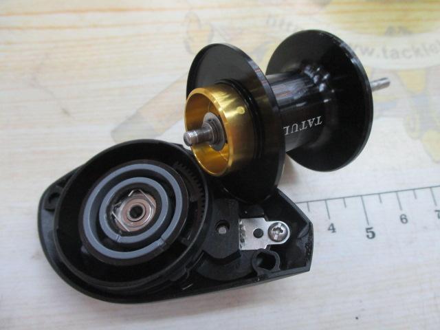 24タトゥーラ TW 100