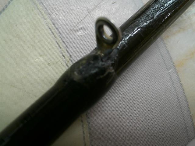 ワイルドサイド WSC610M