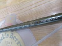 リーディング-X ゴウイン 240H