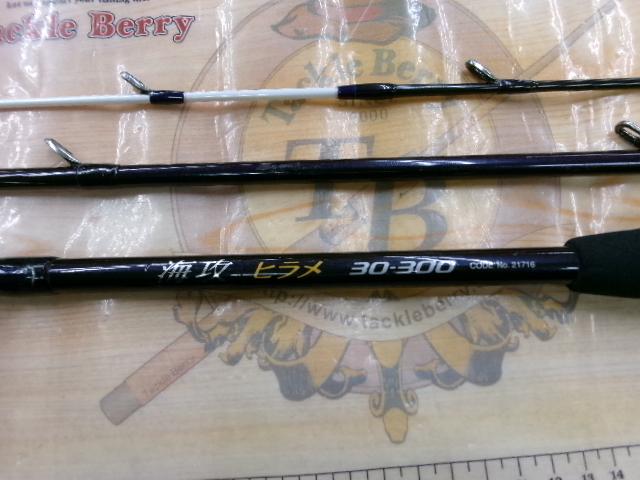 海攻ヒラメ 30-300