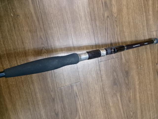 海攻ヒラメ 30-300