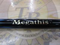 メガディス AGS 1.75-53・E