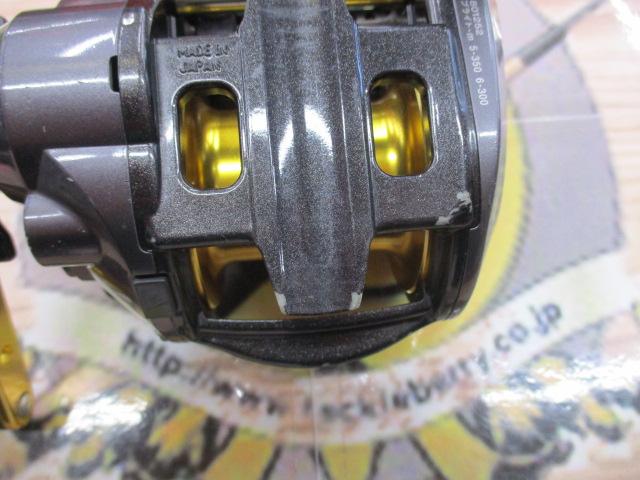 レオブリッツブル 500MM