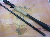 ブレイゾン C66MH-ST