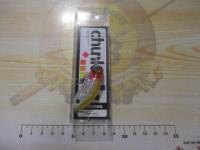 チャンク#ホログラムクラウン