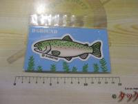 イラストステッカーレギュラーニジマス