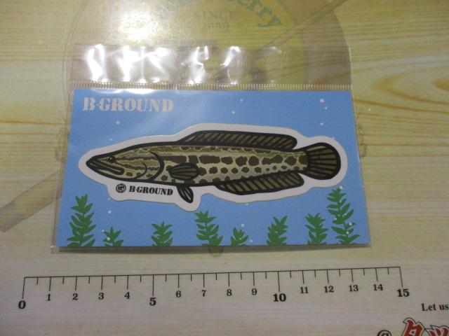 イラストステッカーレギュラーライギョ