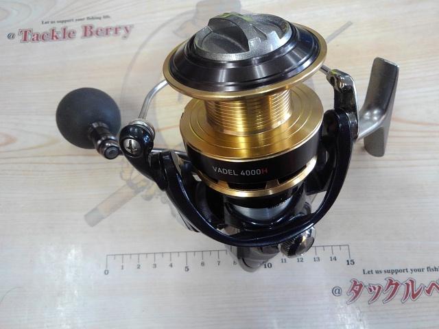 ヴァデル 4000H