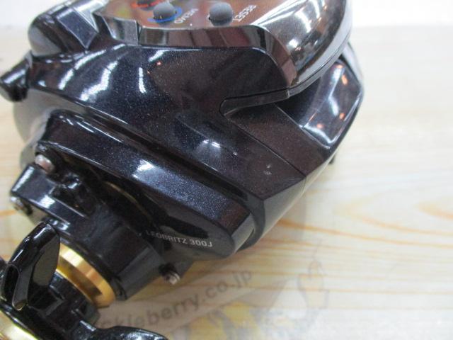 15レオブリッツ 300J