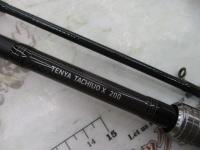 テンヤタチウオX 200