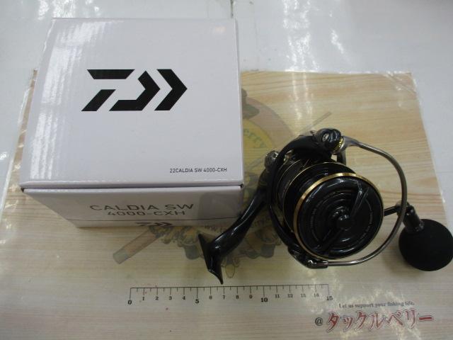 22カルディアSW 4000-CXH