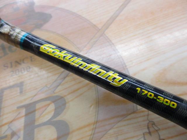 ゴクインフィニティー 170-300