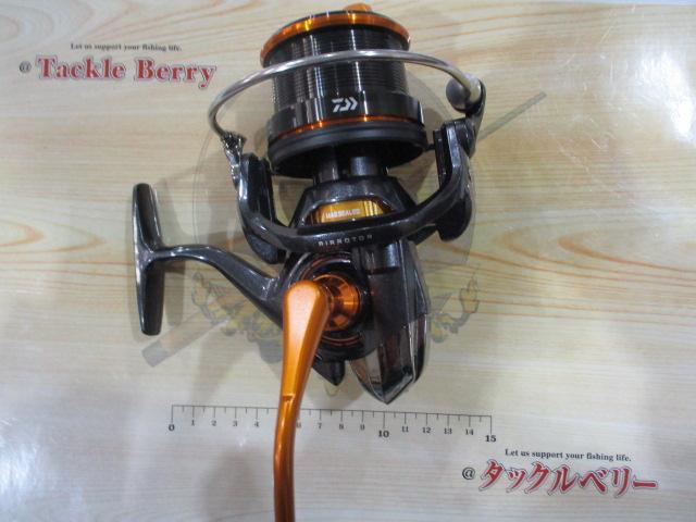 19キャスティズム 25 QD