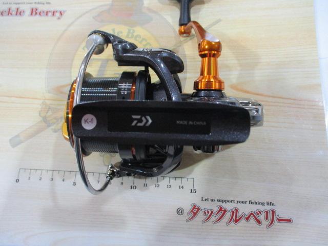19キャスティズム 25 QD