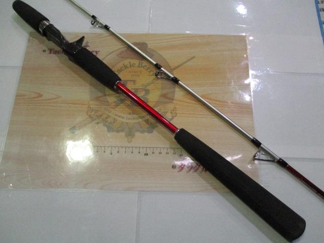 リーダーズエッジパラボライト201R