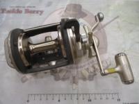 シーライン石鯛X 50H