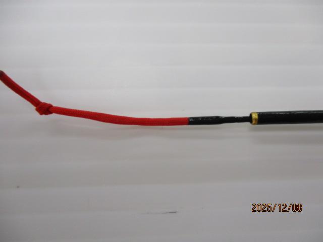 ネオテンカラ 39