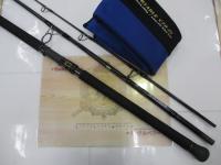 ソルティガAP C78-10