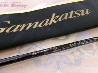 がまちぬいかだ潮彩光 1.5