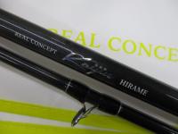 海人ヒラメ255FSL