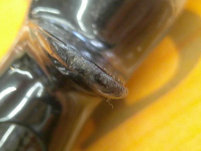 ブラックレーベル BLX LG 6101MRB