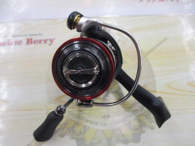 17月下美人エア 2002H