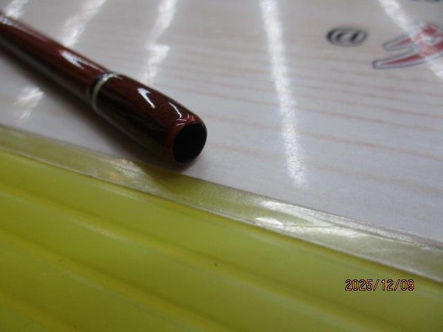 エゲリア ERNS-56L